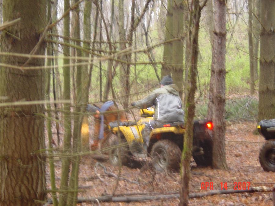 Dale Between Trees 04/14/07